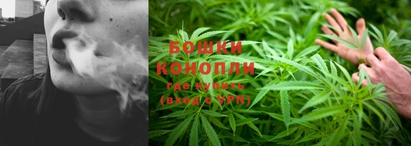 герыч Болотное