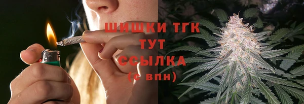 PSILOCYBIN Навашино