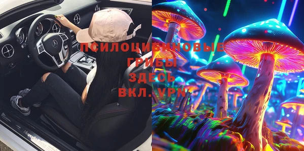 PSILOCYBIN Навашино