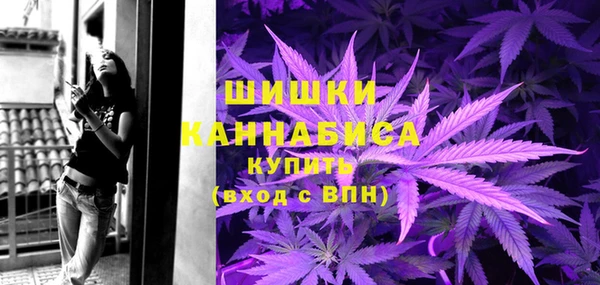 крисы Вязьма