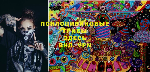 PSILOCYBIN Навашино