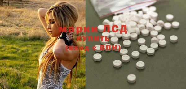 PSILOCYBIN Навашино