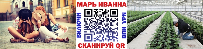 Марихуана сатива  Мураши 
